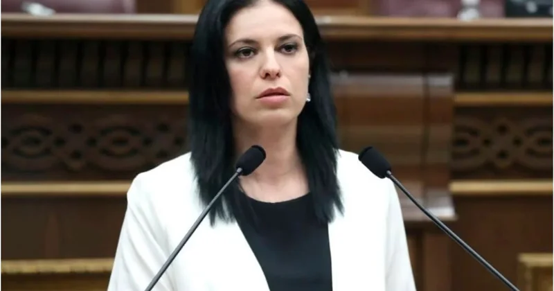 Ermənistanda müxalifət partiyasının üzvü saxlanıldı