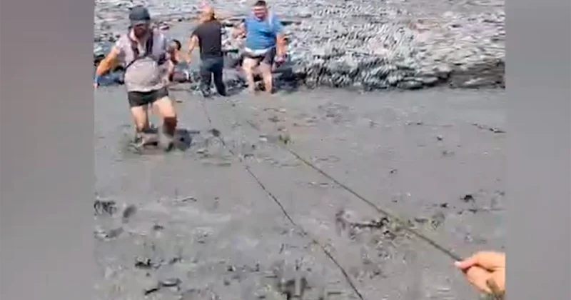 Çaya sel gəldi, 5 nəfər təhlükə ilə üz üzə qaldı Video
