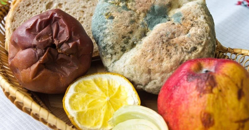 Kiflənmiş qidalar düşündüyünüzdən də təhlükəli imiş Həkimdən XƏBƏRDARLIQ