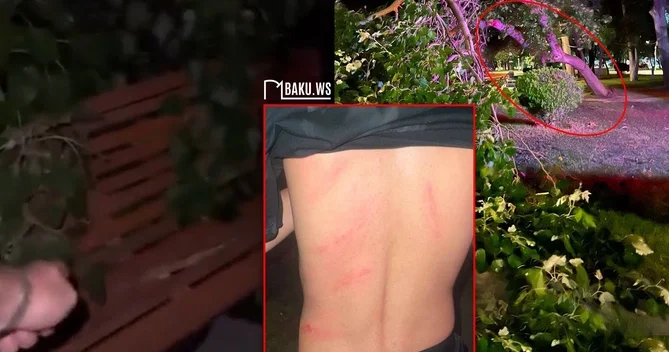 Parkda skamyada oturan gənclərin üstünə ağac aşıb