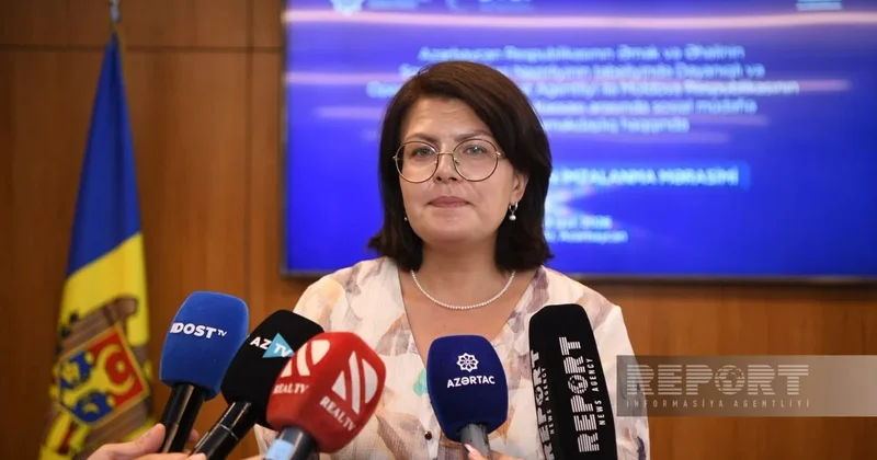 Елена Тибирна: Проект DOST подходящая для Молдовы модель соцуслуг