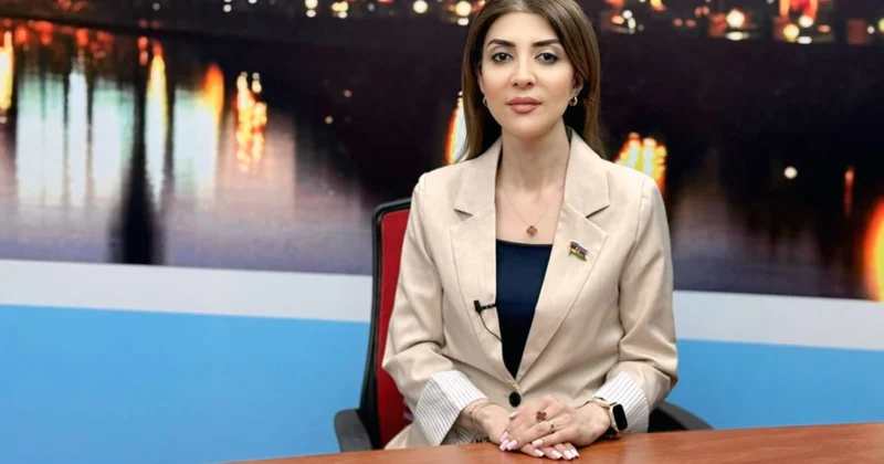 Vaşinqtonda keçirilən görüş Prezident İlham Əliyevin praqmatik diplomatiyasının növbəti parlaq nəticəsidir ŞƏRH