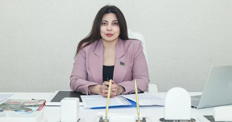 Vaşinqtonda Minsk qrupu ilə bağlı verilmiş qərar Azərbaycanın beynəlxalq münasibətlər sistemində artan çəkisinin növbəti sübutudur ŞƏRH