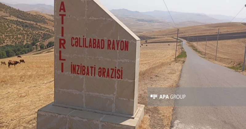 Cəlilabadda çaqqal kənd sakinlərinə hücum edib YENİLƏNİB FOTO