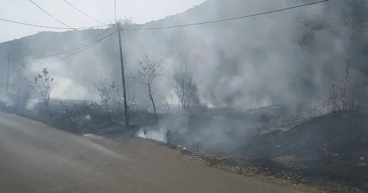 Пожар в Габале: виновниками оказались двое подростков