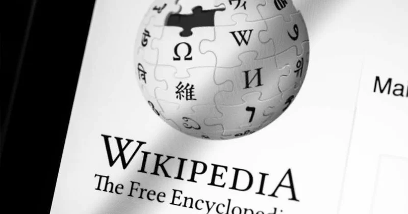 Mask Wikipedia nı tənqid etdi