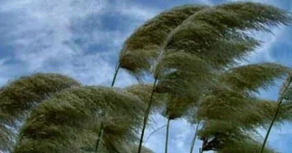 Bakı və Abşeronda güclü şimal qərb küləyi əsəcək − Xəbərdarlıq