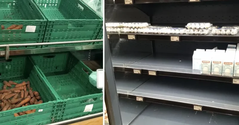 В Украине пожаловались на пустые полки в продуктовых