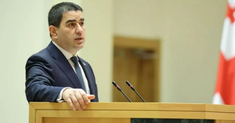 Papuaşvili 2008 ci il müharibəsinə görə Saakaşvili hakimiyyətini ittiham edib