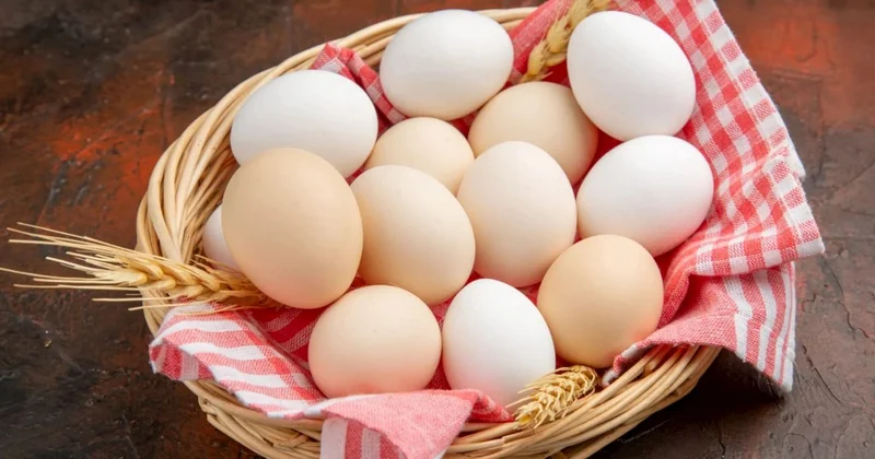 Sağlamlığın “ulduzu” idi, təhlükəyə çevrildi: Protein qəbul edənlərin nəzərinə Mütəxəssislərdən xəbərdarlıq