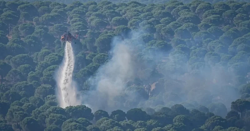 Türkiyədə meşə yanğınlarına görə 9 nəfər həbs edildi FOTO