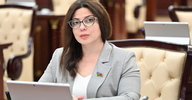 Deputat: Yeni qanun daxili qoşunların səlahiyyət dairəsini aydın şəkildə tənzimləyəcək