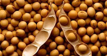 Pekin əvvəllər soya paxlasını əsasən ABŞ dan alırdı, indi isə...