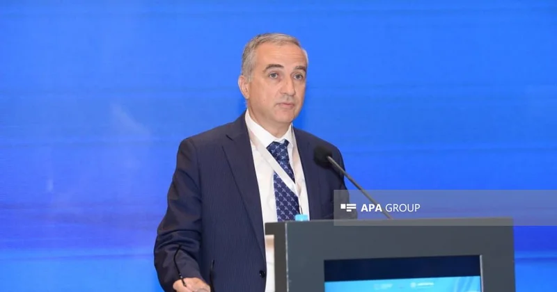 Fərid Şəfiyev: Zəngəzur dəhlizi rəqabət dəhlizi deyil