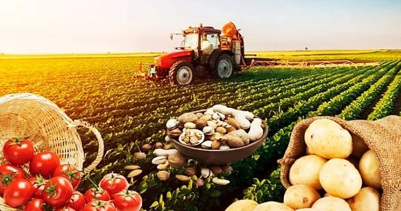 Payız və qış aylarında hansı kənd təsərrüfatı məhsulları bahalaşacaq? Ekspert