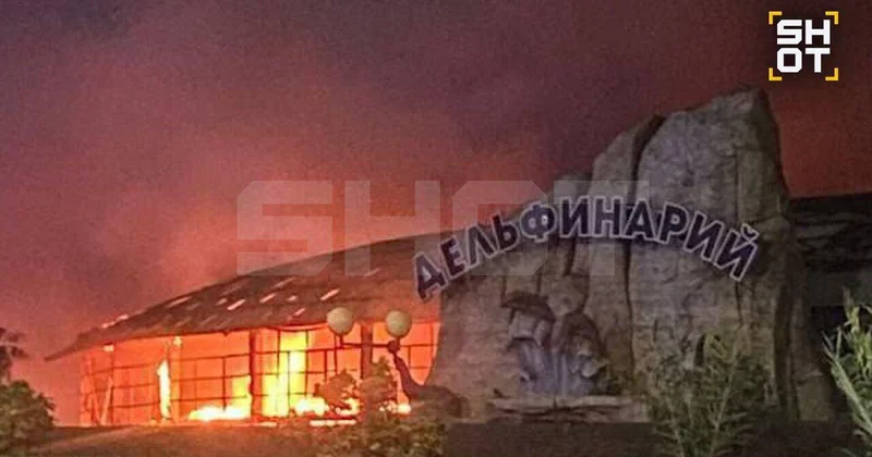 Крупный пожар в дельфинарии в России ФОТО ВИДЕО