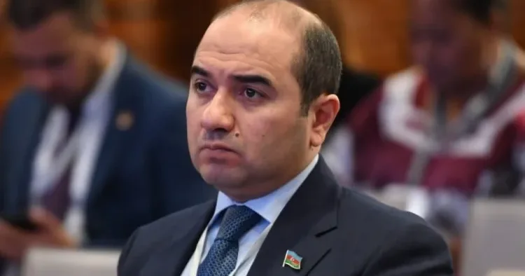 Vaşinqtonda yalnız sənəd yox, yeni Cənubi Qafqaz gerçəyi imzalandı! Deputat