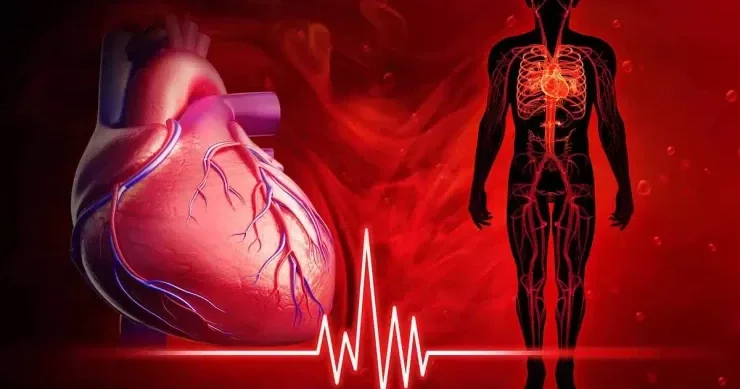 Süni intellekt ürək xəstəliklərini saniyələr içində aşkarlaya bilər