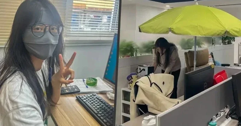 Ofisdə çətir açırlar Yeni trend