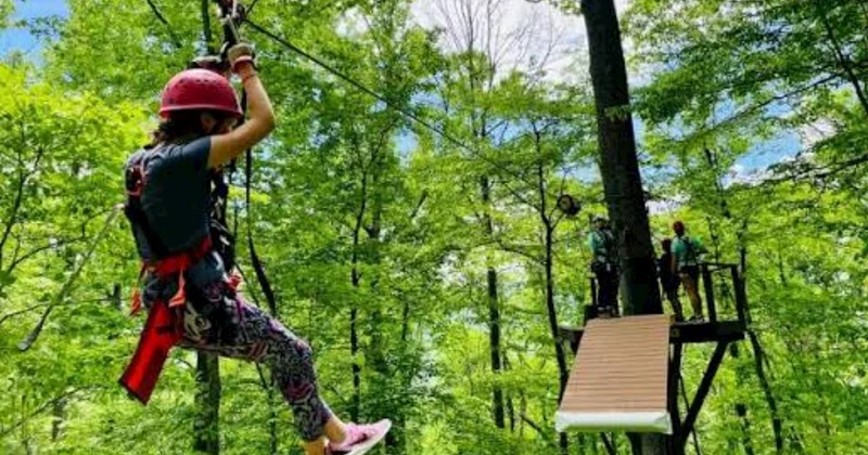 Kanat faciəsinin qarşısını almaq üçün bu qaydalar vacibdir Açıqlama