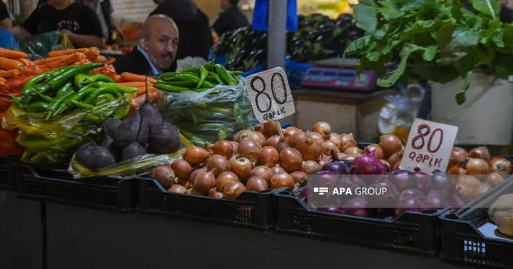 Soğan və göyərtinin qiyməti əl yandırır BAZARDAN REPORTAJ