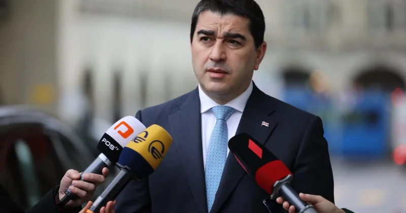 Papuaşvili: Brüssel Avropa İttifaqının maraqlarına zidd fəaliyyət göstərir
