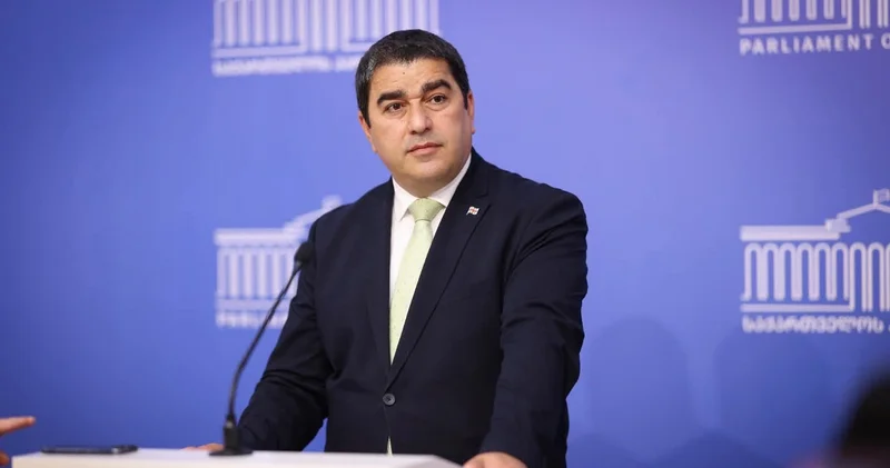 Gürcüstan parlamentinin sədri: Bağışlayın, Rusiyaya qarşı bunu etməyəcəyik