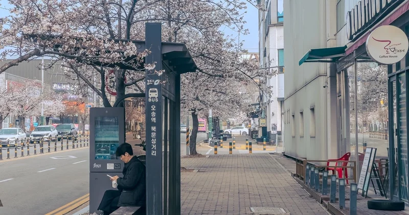 İnterpol tərəfindən axtarılan on doqquz Özbəkistan vətəndaşı Cənubi Koreyada gizlənir