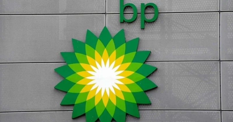 bp ölkədə enerji səmərəliliyi üzrə mütəxəssis potensialının inkişafına dəstək olur