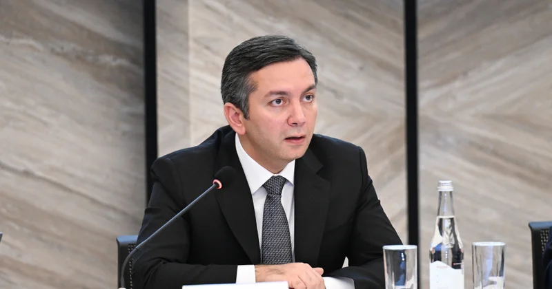 Yalçın Rəfiyev: İqlim dəyişikliyi qlobal sülh və təhlükəsizlik üçün ciddi təhdidə çevrilib