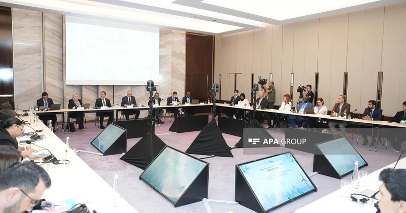 UNECE rəsmisi: Orta Dəhlizin “yaşıl dəhliz” kimi inkişafı Azərbaycan üçün böyük imkandır