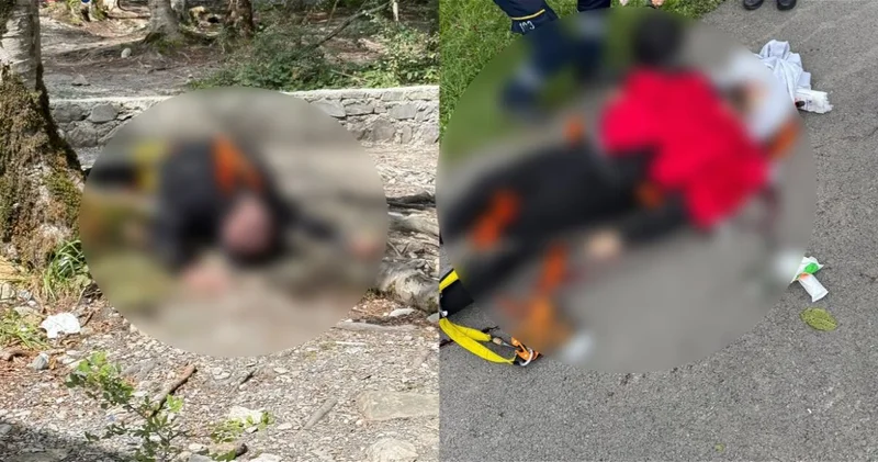 Зиплайн в Шеки не был оснащен устройствами безопасности и страховочным тросом МЧС