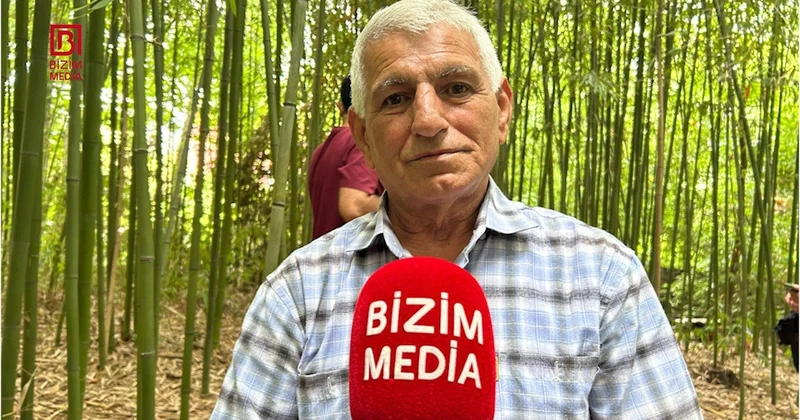 50 günə yetişdirdiyi ağacları biznesə çevirdi Lənkəranlı fermerin bambuk “meşəsi” FOTO