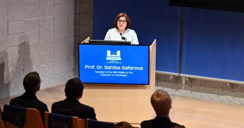Sahibə Qafarova: Beynəlxalq sazişlər prosesin yalnız başlanğıcıdır