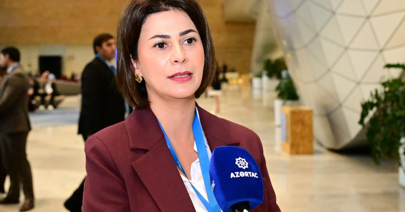 CECECO nun icraçı direktoru: Bakı İqlim Fəaliyyəti Həftəsi COP29 un nəticələrini irəli aparır