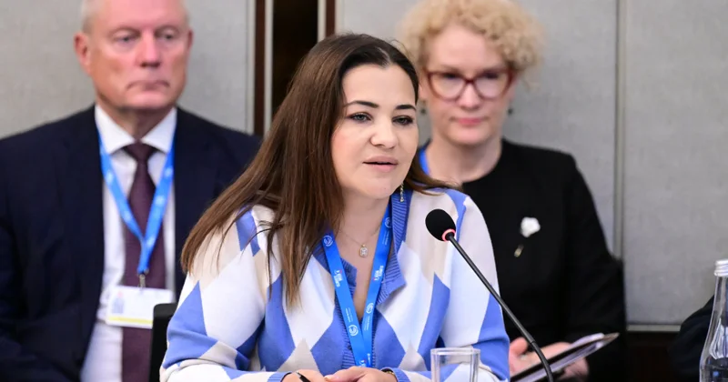 Saida Safayeva: Dayanıqlı İnkişaf Məqsədlərinin təqdim etdiyi icra çərçivəsini lazımi səviyyədə tətbiq etmirik