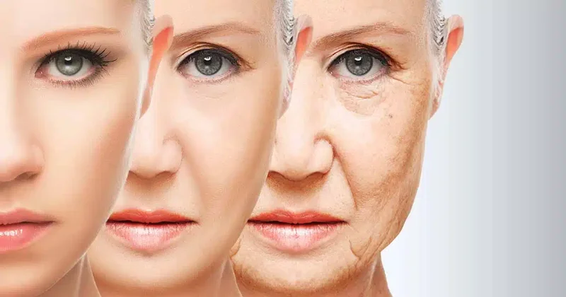 Süni intellekt qocalığa meydan oxuyur Yeni dərmandan sensasion nəticə