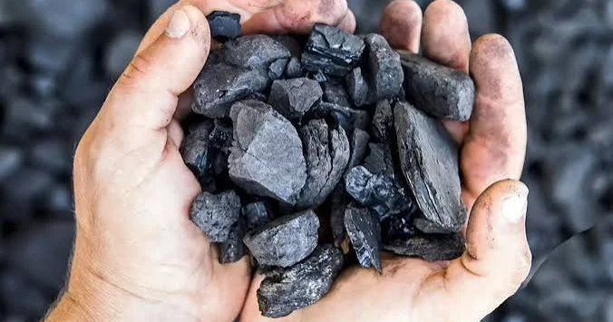 Neft koksundan rekord gəlir