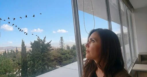 Köç zamanıdır: baxsaq, durnaları görə bilərik...