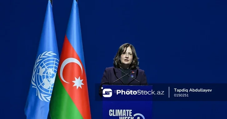 Директор COP31 отметила разрыв между потребностью в климатическом финансировании и текущим объемом