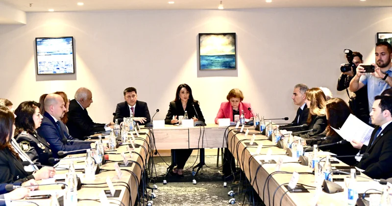 Ombudsman yanında “Psixi sağlamlıq və insan hüquqları” sahəsində İşçi Qrupun ilk iclası keçirilib