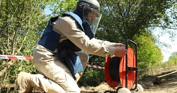Xocavənddə ağaca quraşdırılmış tələ minası Foto