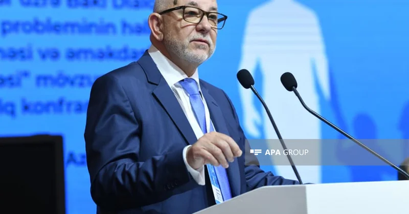Bosniya və Herseqovina nümayəndəsi: İtkinlərlə bağlı əldə etdiyimiz nəticənin yayılması üçün çalışacağıq