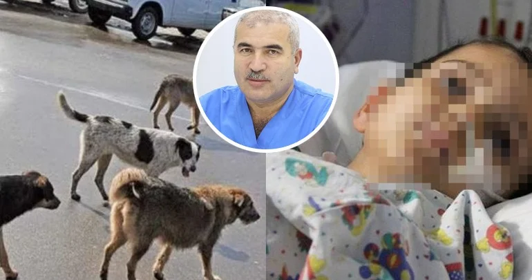 Müalicəsi yoxdur, dərhal peyvənd vurulmalıdır Həkimdən XƏBƏRDARLIQ