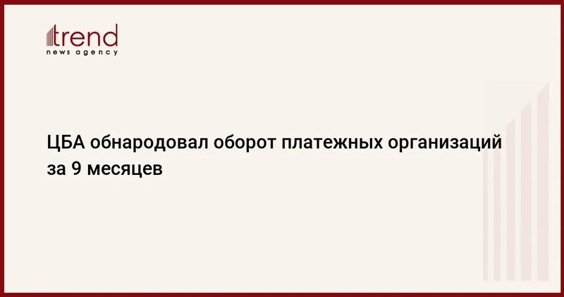 ЦБА обнародовал оборот платежных организаций за 9 месяцев