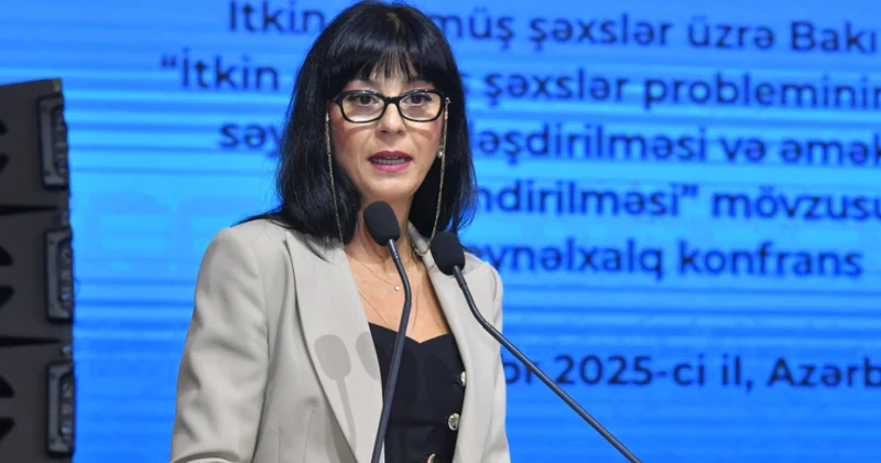 Tea Axvlediani: İnsanların itkin düşməsi davamlı humanitar böhranlardan biri olaraq qalmaqdadır