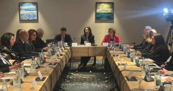 Səbinə Əliyeva: “Psixi sağlamlıq yardımı müharibədən sonrakı bərpa prosesinin əsas hissəsidir”