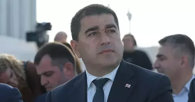 Gürcüstanda çevriliş cəhdi xaricdən maliyyələşdirilib