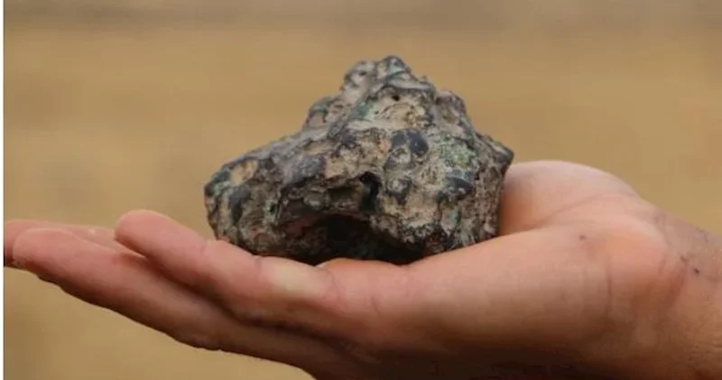 Göbələk axtarmağa getmişdi, meteorit tapdı