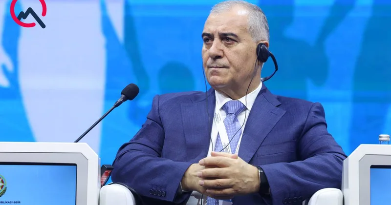 DTX rəisi həmin maddədən danışdı